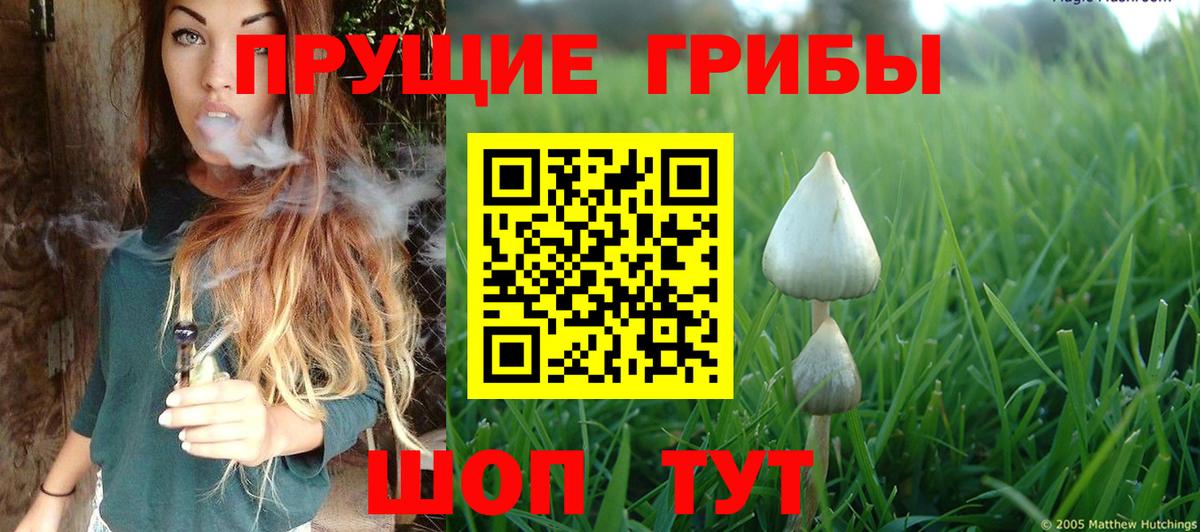 Псилоцибиновые грибы ЛСД Углич